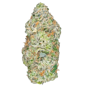 Blackberry Cream - 7g