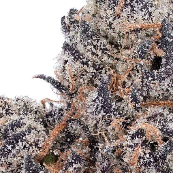 Lemon Cherry Gelato