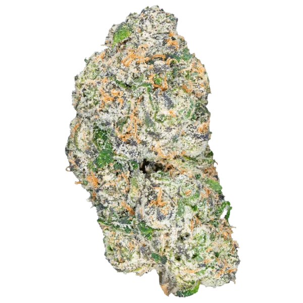 Jungle Zookies